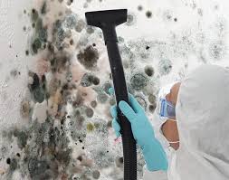 Best Environmental Consulting for Mold Prevention  in Hoboken, NJ